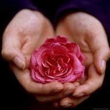 Handful Hands Holding Flowers Hand Holding Something Hand Reference 30 amazing hand drawing ideas & inspiration. handful hands holding flowers hand