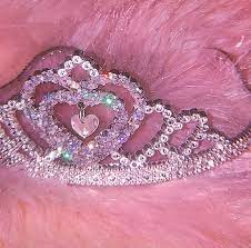 If you're looking for information and inspiration on the baddie aesthetic, this post will first and foremost, the name baddie comes from bad bitch, and the fierce name itself, to me, translates. Pin By ð¦ðšð£ðš On 3 Pink Tumblr Aesthetic Pink Aesthetic Baby Pink Aesthetic