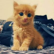 So cute and precious❤️🫶