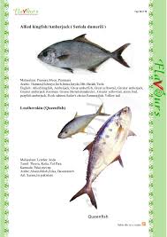 Sharing the fish names in english, tamil, telugu, malayalam. Confused Over Fish Names