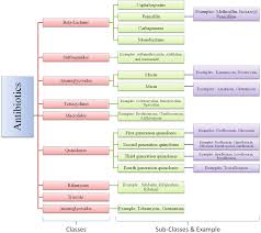 Antibiotics Use In Hospitals And Their Presence In The Associated Waste Springerlink