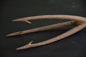 It increases your chances of making a catch when hole fishing or in open water. Antique Eel Fishing Spear Primitive Wrought Iron Harpoon 3 Prong Gig Old Hunting Primitive Fishing Spear Wrought Iron