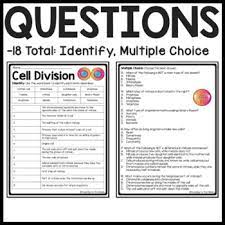 If the parent cell starts with 24 chromosome and undergoes mitosis, then how many will the daughter cells have? Cell Division Reading Comprehension Worksheet Mitosis And Meiosis Science