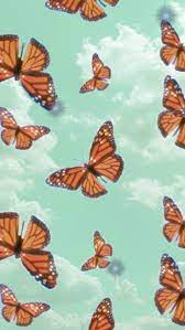 Monarch butterfly aesthetic blue butterfly wallpaper. Aesthetic Buterfly Butterfly Wallpaper Iphone Butterfly Wallpaper Aesthetic Iphone Wallpaper