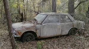 Birds For Sale In Florida Craigslist 1972 2dr Parts Car In Lake Talquin Fl Car Datsun 510 Lake