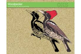 Download Woodpecker Svg Vector Graphic By Crafteroks Graphic Vector Vector Graphics Yellowimages Mockups
