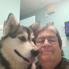 next head coach for dolphins team