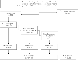 rapid diagnosis of pulmonary tuberculosis by combined