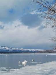 楽天トラベル 屈斜路湖 たびノート 景色 楽天トラベル 雪 景色