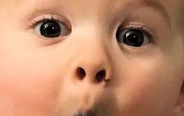 I just pulled grandpas finger" by Dave Hamblen