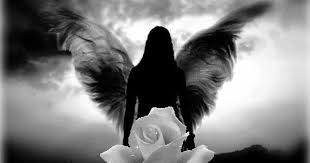 Angel Wings Images Black And White Pin On Tattoos