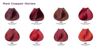 Ion Hair Color Developer Chart Red Copper Series Red