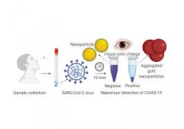 Researchers Develop Experimental Rapid Covid 19 Test Using Nanoparticle Technique Eurekalert Science News