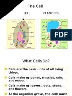 We did not find results for: 1 2 Ultrastructure Of Cells Students Notes Pdf Prokaryote Cell Biology