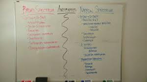 Broad Vs Narrow Spectrum Antibiotics Antibiotics Nursing Nursing School Tips Medical Studies