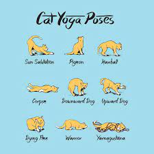 Cat Yoga Poses Repined By Yogifit Me Yoga Yogi Yogainspiration Fitness Cat Yoga Yoga Funny Funny Yoga Pictures