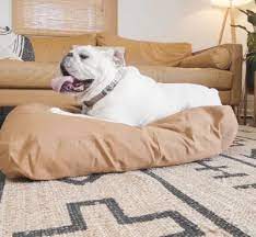 Apr 13, 2018 · invest in a pet carpet cleaner: 14 Ways To Get Rid Of The Dog Smell In Your House Once And For All