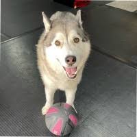 40+ "Sineni" profiles