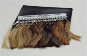 Gpm Anthropological Instruments Hair Color Chart