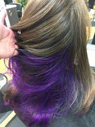 For a year, i had purple highlights underneath my long brown hair. Pictures Of Brown Hair With Purple Underlayer Kidskunst Info Underlights Hair Purple Hair Peekaboo Hair