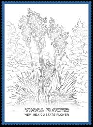 Color the yucca flowers white with green leaves. New Mexico State Flower Yucca Flower By Usa Facts For Kids
