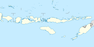 flores indonesien wikipedia