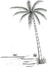 15 Immaculee Frais Coloriage Palmier Photos Palmier Dessin Pieuvre Dessin Coloriage Plage