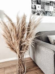 pampasgras mooie grote pluimen woondecoratie trending decor home house design