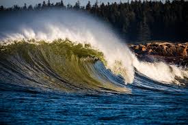 Searching For Surf In New England By Boat Surfline