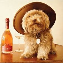 Val Goldberg (vgoldbergova)