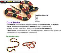 The Myasthenia Gravis Of Snake Venom Coral Snake Snake Snake Bites