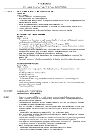 youth worker resume samples velvet jobs