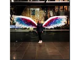 Universal Symbol Of Humanity Takes Flight In Key Australian Cities Angel Wings Art Colette Miller Wings Wings Art