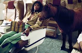 Though of course his mommy was happy to look, nevermind the fact you couldn't see her. Of Course A Horse Gucci Ss 20 Collectible Dry Magazine
