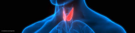 Hashimoto Thyreoiditis