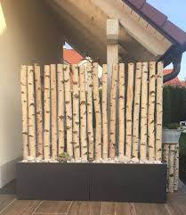 Weisse Birkenstamme Als Sichtschutz Fur Die Terrasse Hier Zu Finden Https Birkendoc De Shop Sichtschutz Garten Terrassengarten Gartendekoration