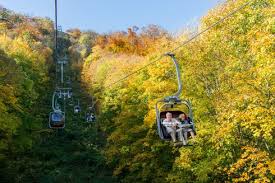 Find it all and much more with the interactive roller coaster database. Seilbahnen Thale Erlebniswelt Im Harz Harztourist