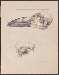 Edward Harrison Compton Paintings & Artwork for Sale