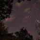 Night Hike in the Preserve event image