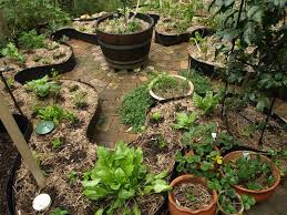 Living Close Strata Title Permaculture Permaculture Gardening Keyhole Garden Permaculture