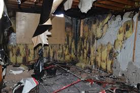 Learn about growing morel, shiitake, portobello, and oyster mushrooms indoors. Yikes This Is A Basement After A Grow Op Was Found Painting Molding Basement