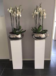 Genial Cout Gratuit Plantes Indoor Arrangement Astuces 15 Plantes D Interieur Et Composi En 2020 Decoration Plantes Interieur Deco Entree Maison Fleurs Interieur