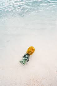 Dec 13, 2020 · zoom backgrounds are all the rage these days thanks to the overnight popularity of zoom video meeting software. 50 Gorgeous Beach Wallpaper Iphone Aesthetics That Are Free
