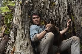 An Adorable Dog Named Hero Is The Secret Star Of The New Dylan O Brien Movie Love And Monsters In 2020 Dylan O Brien Dylan O Brien Movies Dylan
