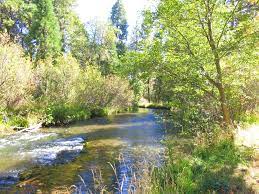 Rare Hat Creek Frontage California Outdoor Properties