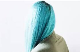 Dog dye is the hottest new trend in pet grooming. Icy Blue Hair Guide For Choosing The Perfect Color