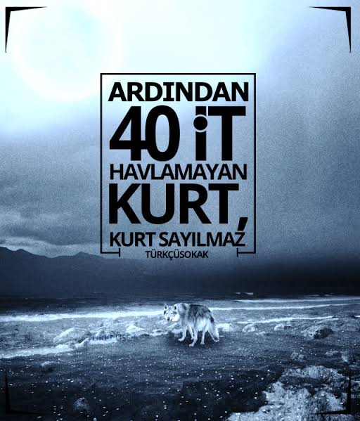 arkasından 40 köpeği havlamayan kurt kurt değildir ile ilgili görsel sonucu