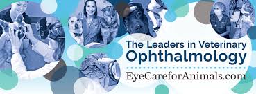 Maybe you would like to learn more about one of these? Eye Care For Animals Home Facebook