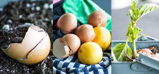8 Reasons Why You Should Never Throw Away Eggshells Food Hacks Wonderhowto
