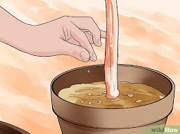 It can also fight way late blight, which is a fungal disease covering. How To Use Coffee Grounds In Your Garden 9 Steps With Pictures